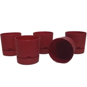 Poliwork 5 li Begonya 12 cm Plastik Renkli Tabaklı Saksı - 1