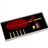 Steel Pen Kuş Tüyü Divit Kalem Seti Kaligrafi Kalemi - 2