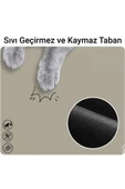 MAtGo Pati Food Water Krem Evcil Hayvan Beslenme Matı Kaymaz Sıvı Geçirmez Kedi Köpek Mama Paspası 50x70cm - 3