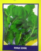 Roka İzmir Sebze Tohumu 20 gr - 1