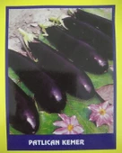 Patlıcan Kemer Sebze Tohumu 20 gr - 1