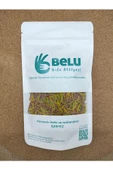 Sebzeli Tel Şehriye 200 gram - 3