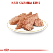 Royal Canin Yorkshire Terrier Adult Yetişkin Köpek Konservesi 12 Adet 85 Gr - 3