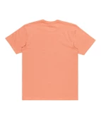 Quıksılver TROPICAL RAINBOW SS Erkek T-shirt EQYZT07679-QK.MJR0 thumbnail 1