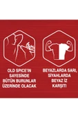 Old Spice Captain Erkekler Için Stick Deodorant 50 ml - 6
