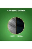 Naturals Saç Boyası Böğürtlen Siyahı 2/8 2x Paket - 3
