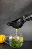 Nishev Demir Döküm Paslanmaz Narenciye Limon Sıkacağı Uzun Ömürlü Portakal Narenciye Sıkıcı 23 cm - 2
