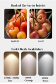 Panosonic 14W (100W) Led Ampul 6500K Beyaz - 3 Adet - 5
