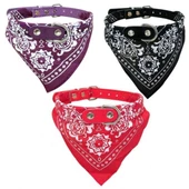 NUNBELL FULARLI BOYUN TASMASI 12'li1.5mm - 1