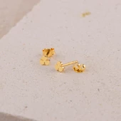 14 Ayar Altın Minik Yonca Küpe 0,57 gr - 2