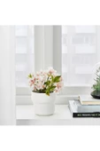 IKEA Förenlıg Plastik Saksı - Beyaz - 9 Cm Çap - 2
