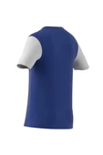 adidas ESTRO 19 JSY Erkek  T-shirt DP3231 - 8