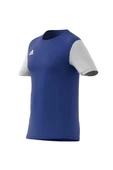 adidas ESTRO 19 JSY Erkek  T-shirt DP3231 - 10