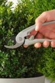Brytböna Bitki Budama Makası Açık Gri/açık Yeşil 19 Cm - 1