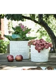 Chıafrön 12 Cm Stoneware Dekoratif Beyaz Saksı - 4