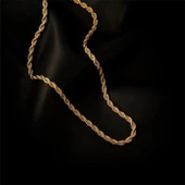 45 cm burgu kolye Sns200267 - 5