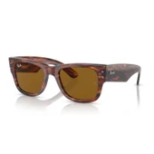 Ray-Ban 0RB0840S 954/3351 HN Unisex Güneş Gözlüğü thumbnail 1