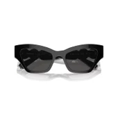 Swarovski 0SK6021 10018753 HN Kadın Güneş Gözlüğü thumbnail 5