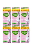 Molped Ultra Süper Ekonomik 24'lü Normal X 6 Paket - 1