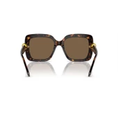 Swarovski 0SK6001 10027355 HN Kadın Güneş Gözlüğü thumbnail 3