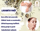 Tıbbi Lavanta Uçucu Yağı 10 ml. %100 Saf - 2