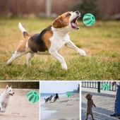 Mama Hazneli Köpek ve Kedi Eğitim Ve Oyun Topu Turuncu - 4
