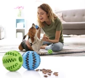 Mama Hazneli Köpek ve Kedi Eğitim Ve Oyun Topu Turuncu - 1