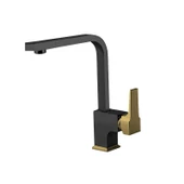 Aqua Evye Bataryası - Sıyah/Altın - 1