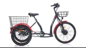 CARRARO E-LINE ePACK 2.1 UNISEX BİSİKLET 410H HD 24 JANT NEX.3 VİTES MAT SİYAH KIRMIZI GRİ - 1