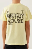 Minnie Mouse Lisanslı D4883 Beyond T-Shirt ve Şort Alt Üst Erkek Çocuk Takımı - 8