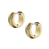 Fossıl JF04116-710 Kadın Küpe - 4