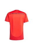 adidas Erkek  FCB H JSY Forma IT8511 - 12