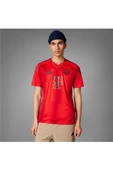 adidas Erkek  FCB H JSY Forma IT8511 - 2