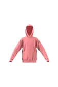 adidas Unisex Çocuk  J SZN GFX HD Sweatshirt IV7116 - 1