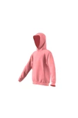 adidas Unisex Çocuk  J SZN GFX HD Sweatshirt IV7116 - 8