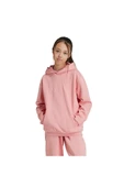adidas Unisex Çocuk  J SZN GFX HD Sweatshirt IV7116 - 11