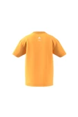 adidas Unisex Çocuk  LK DY LK T T-shirt IY7699 thumbnail 11