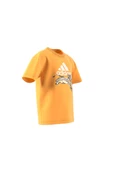 adidas Unisex Çocuk  LK DY LK T T-shirt IY7699 thumbnail 8