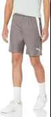 Puma 704924 Teamliga Shorts Erkek Futbol Şortu - 1