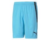 Puma 704924 Teamliga Shorts Erkek Futbol Şortu - 4