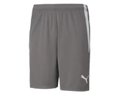 Puma 704924 Teamliga Shorts Erkek Futbol Şortu - 3
