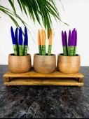 Bitki Tasarımı Ev dekorasyon Aksesuar Kahverengi Granit Efektli Düz Toprak Saksı Üçlü Ahşap Tabanlı Çiçeklik Saksı Saksılık thumbnail 2