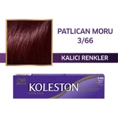 Koleston Tüp Boya 3/66 Patlıcan Moru - 1