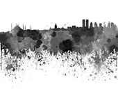 İstanbul Silüeti Suluboya - Kanvas Tablo thumbnail 2