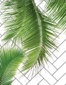 Tropik Yaprak - Kanvas Tablo thumbnail 2