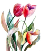 Kırmızı Lale - Kanvas Tablo thumbnail 2