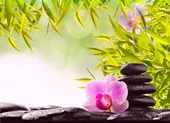 Lila Çiçek, Spa Taşı - Kanvas Tablo - 1