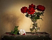 Kırmızı ve Beyaz Güller - Kanvas Tablo thumbnail 2