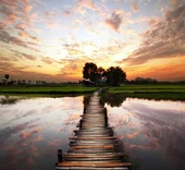 Yeşilliğe Giden İskele - Kanvas Tablo thumbnail 1