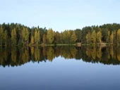 Orman ve Göl - Kanvas Tablo thumbnail 1